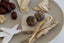 Traditional Chinese Medicine