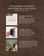 28 Day Postpartum Package (Redesigned)