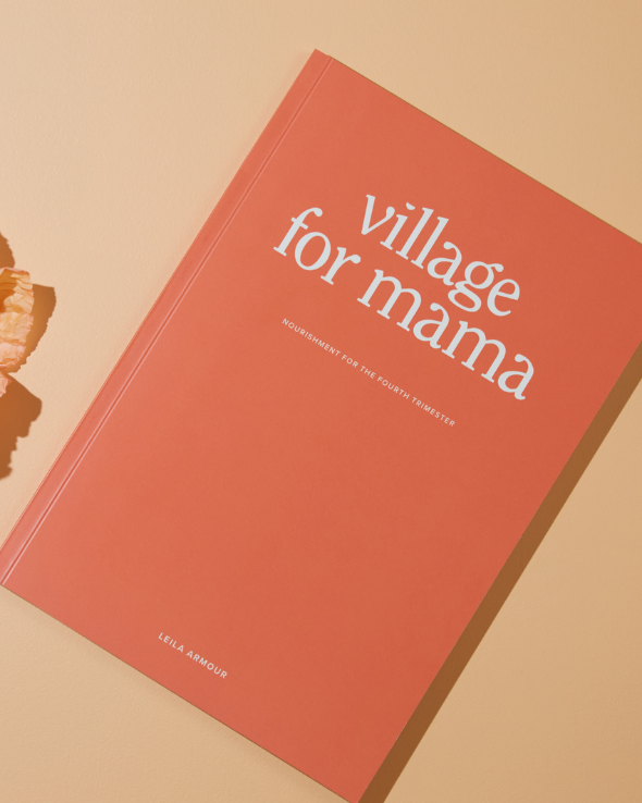 A Village for Mama Book Edition 2